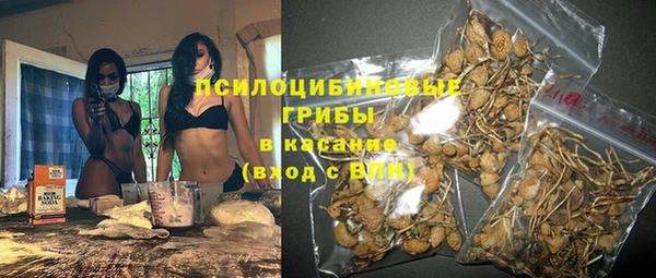 мескалин Алексин