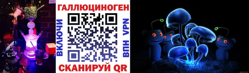 закладки  Тейково  Псилоцибиновые грибы MAGIC MUSHROOMS 